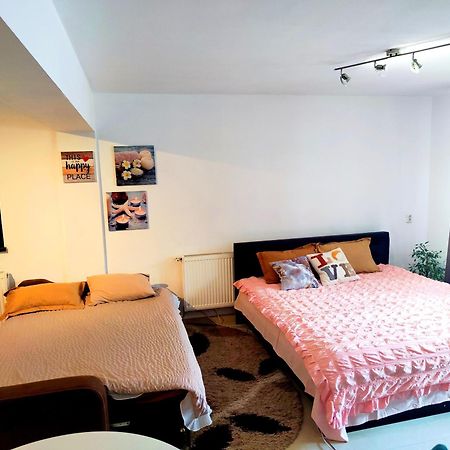 Ferienwohnung Studioul De Vis Brașov Exterior foto