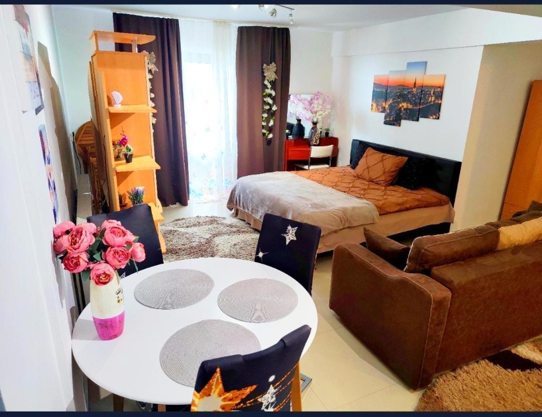 Ferienwohnung Studioul De Vis Brașov Exterior foto