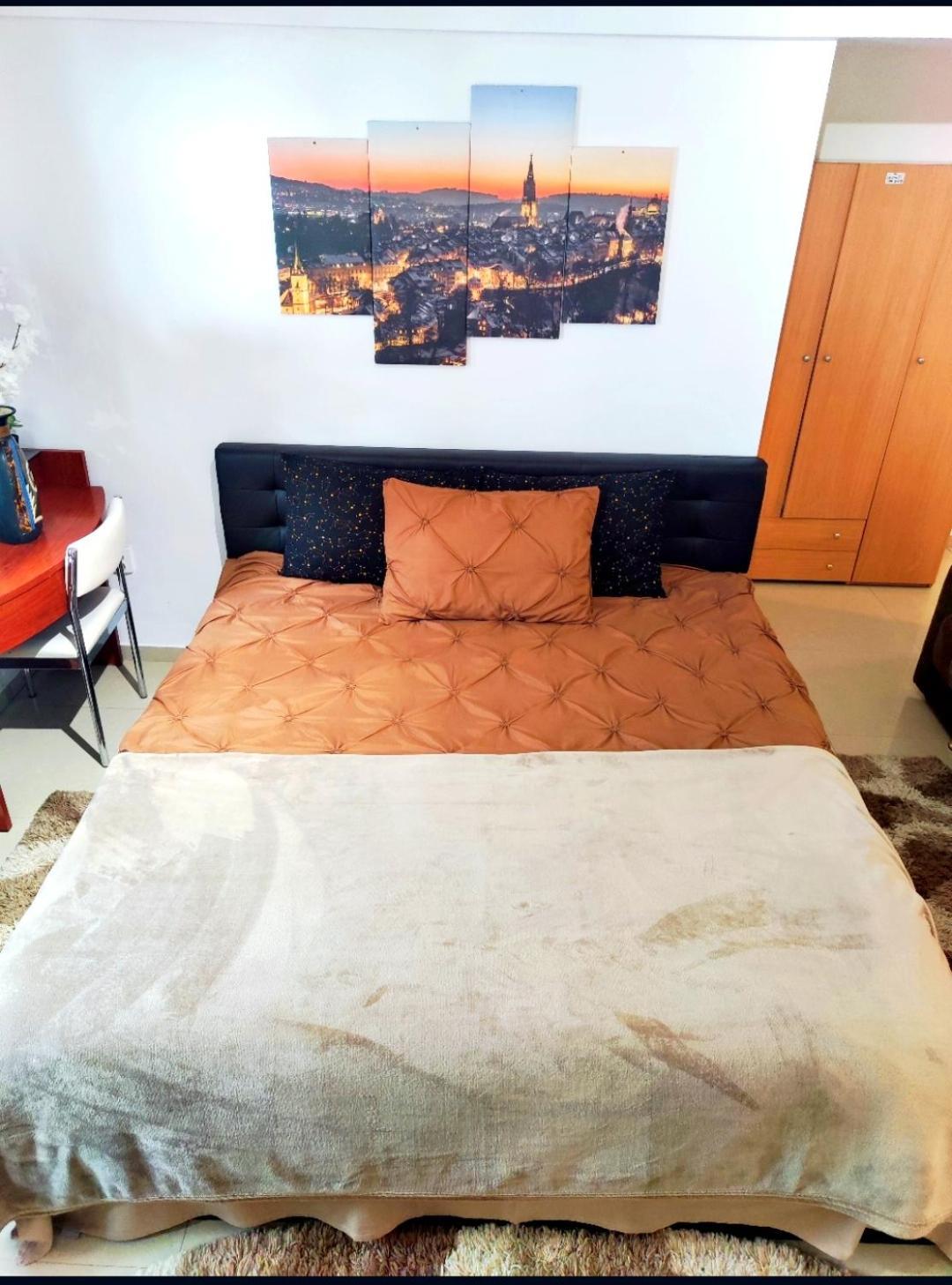 Ferienwohnung Studioul De Vis Brașov Exterior foto